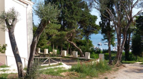 I Pesci nel golfo di Baratti Tuoro Sul Trasimeno